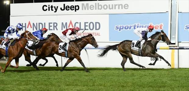 London Lolly - Moonee Valley - 14/03/2014